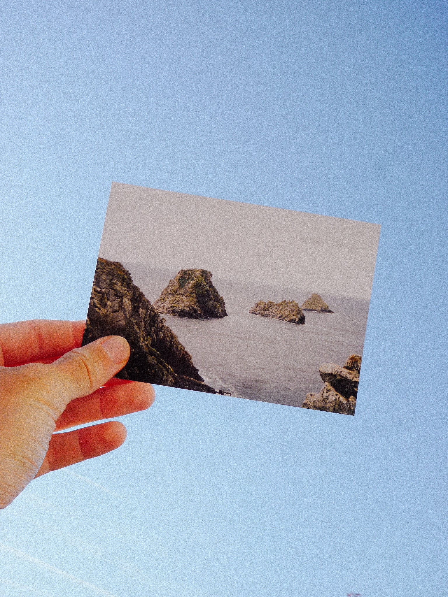 Limitierte Mini-Prints: World Ocean Week