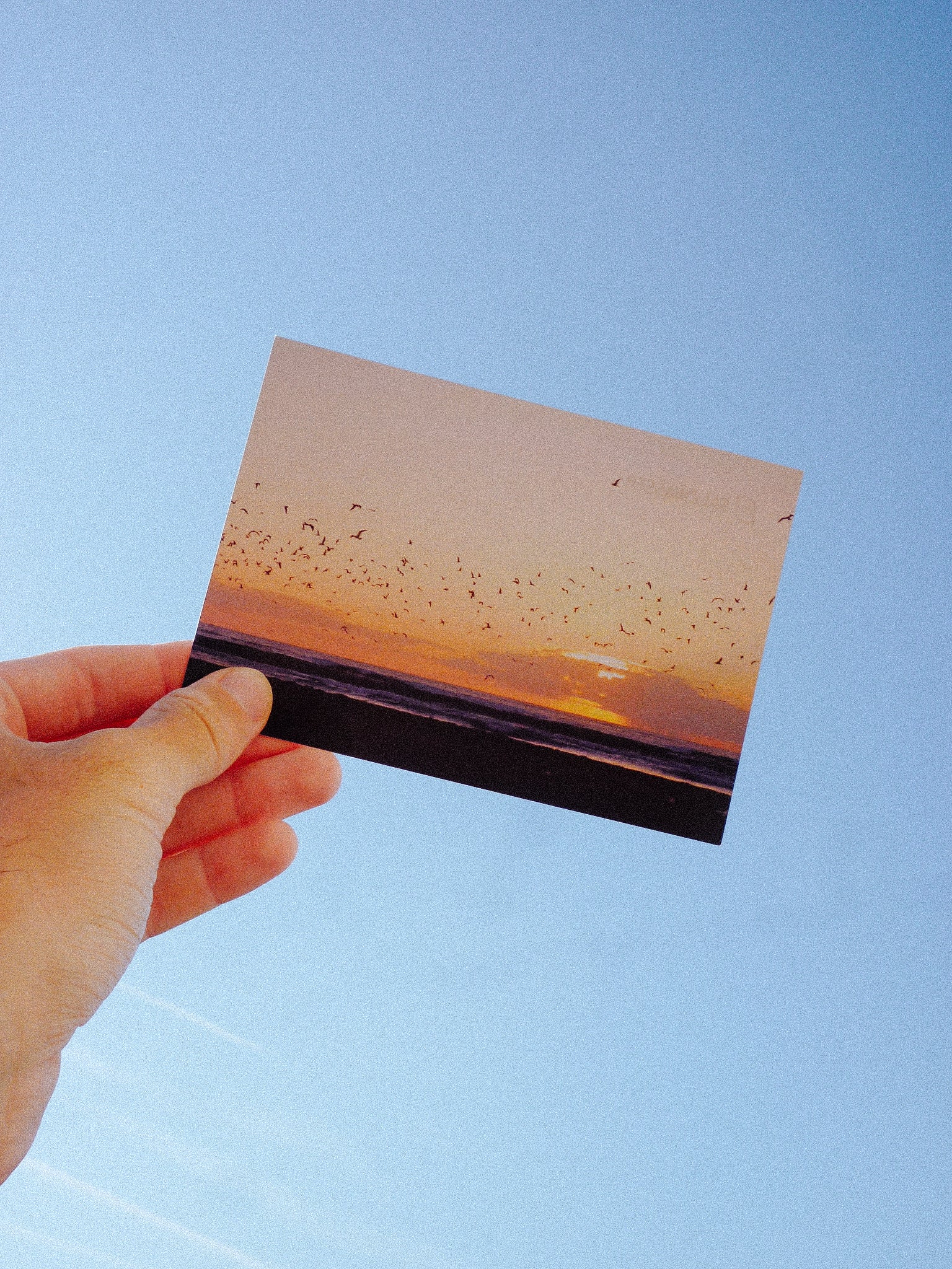 Limitierte Mini-Prints: World Ocean Week