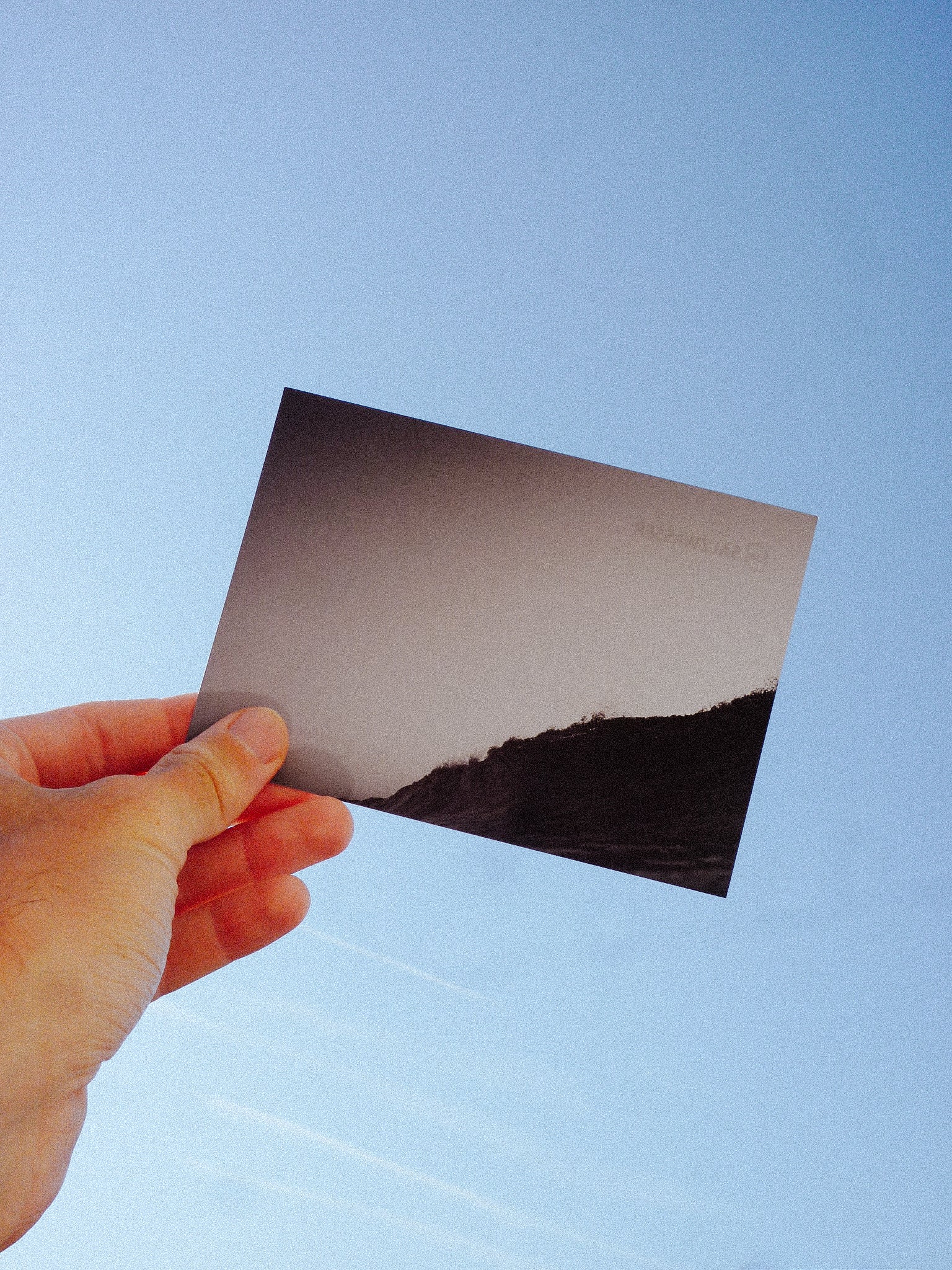 Limitierte Mini-Prints: World Ocean Week