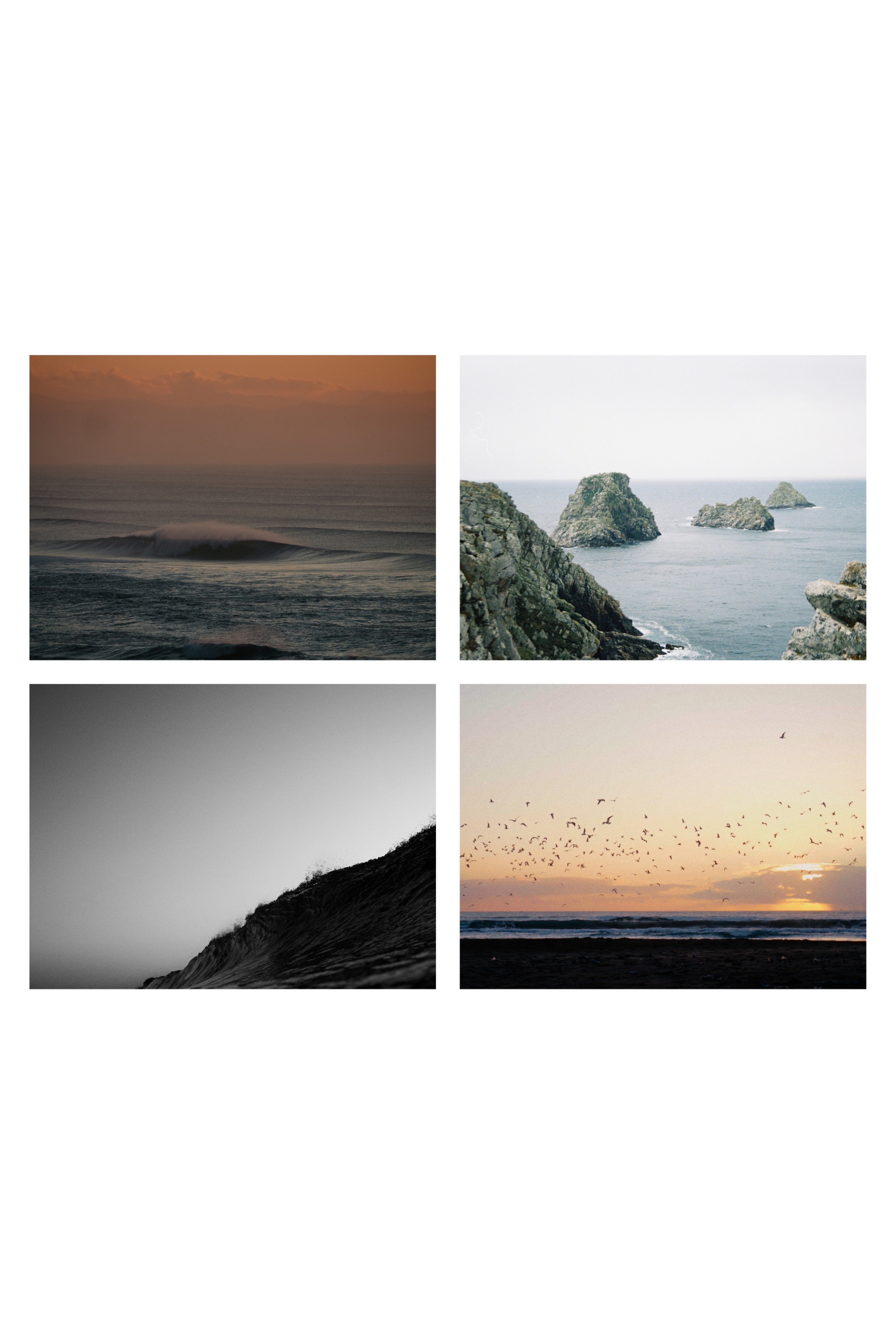 Limitierte Mini-Prints: World Ocean Week