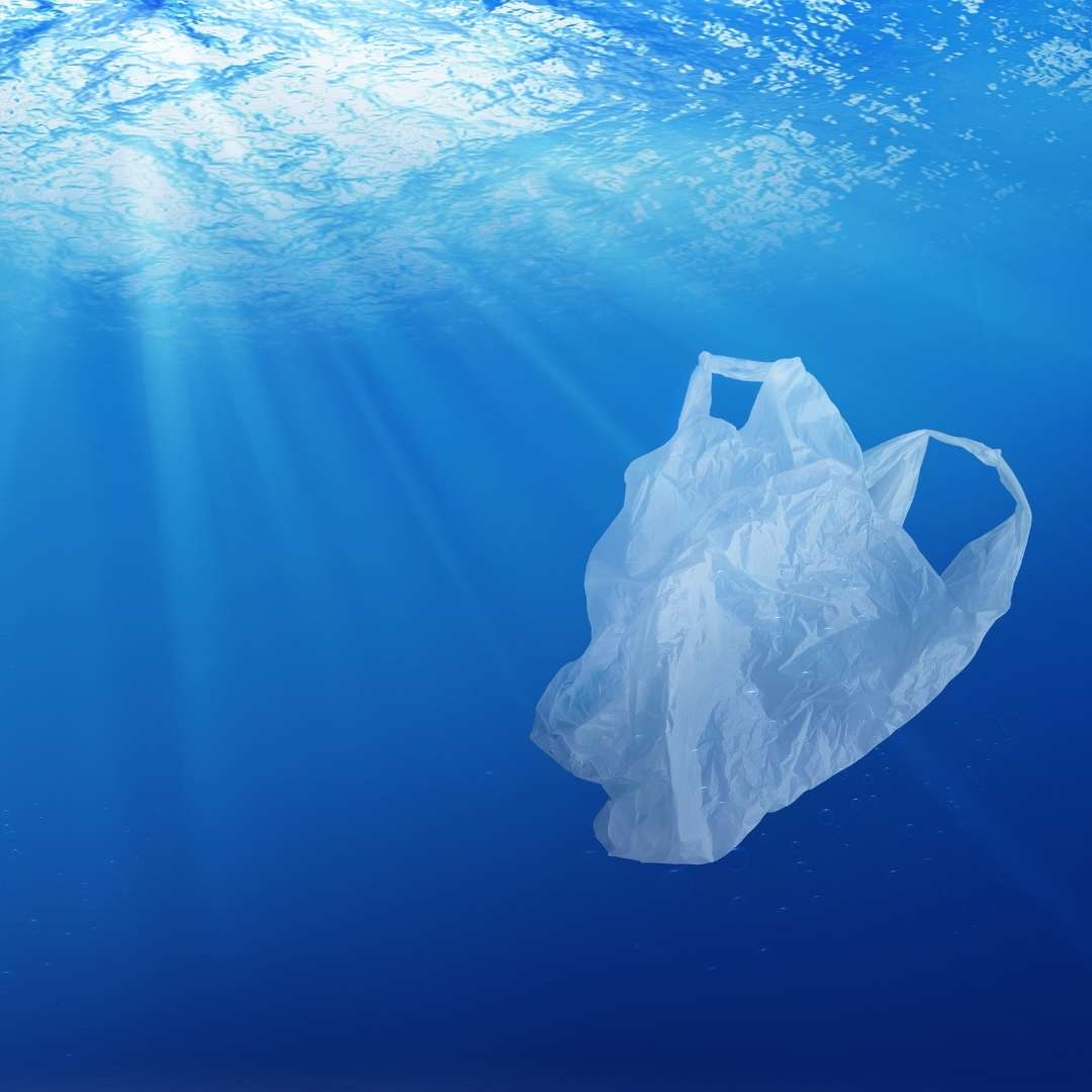 Plastik im Meer