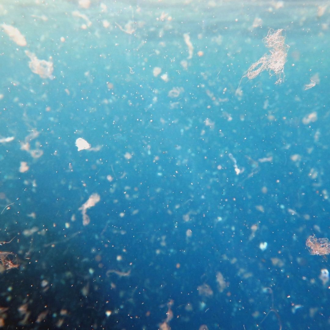 Wie belastet Mikroplastik die Ozeane?