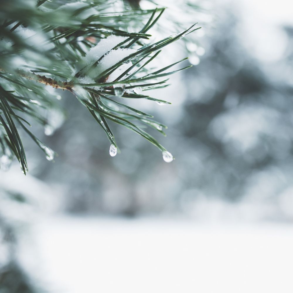 10 Gründe, den Winter zu lieben